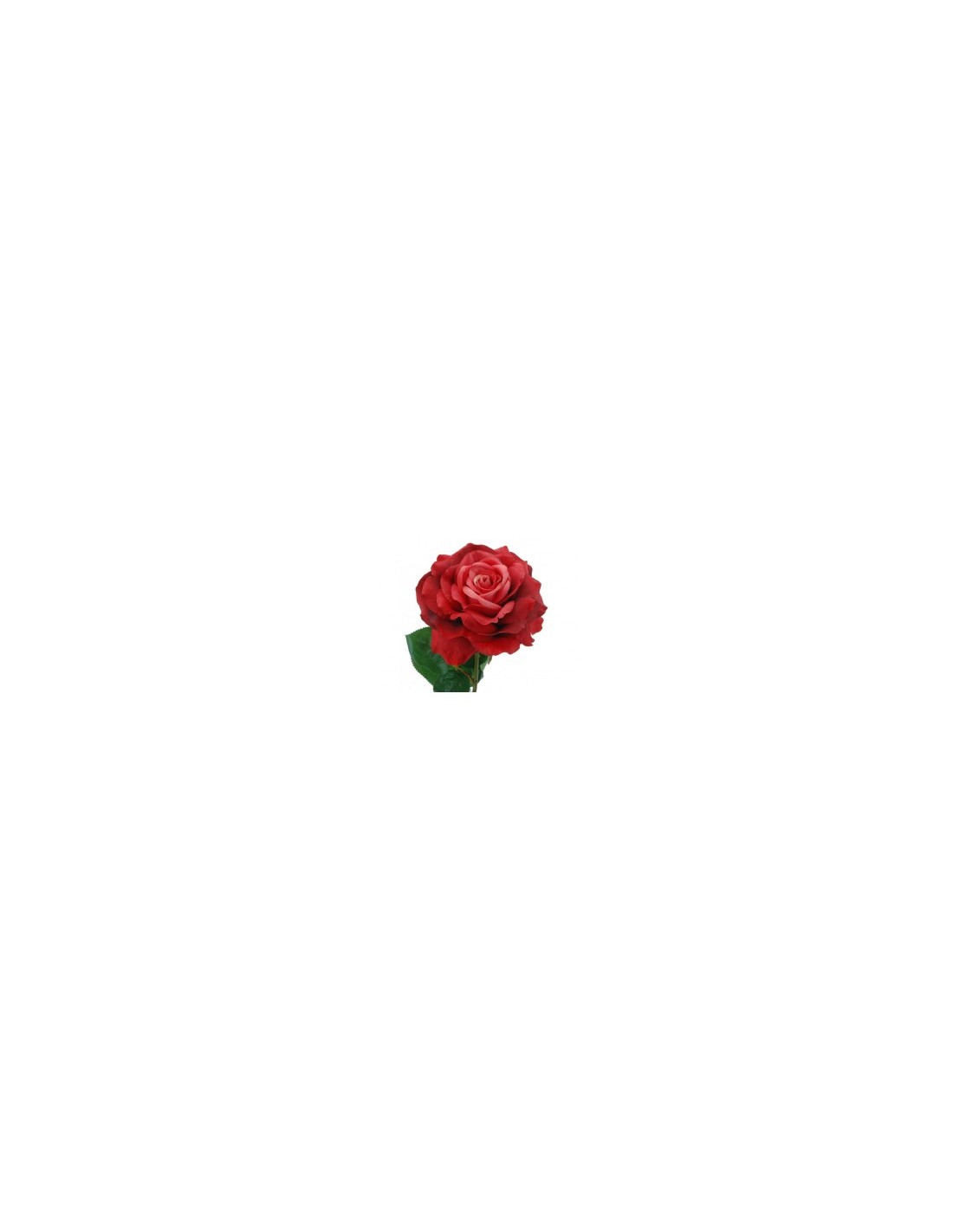ROSA 1803-08 ROSSA 56CM su TreG Ingrosso