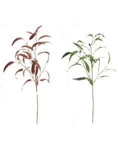 VARA EUCALYPTO 4502 GLOBULUS 100CM su TreG Ingrosso