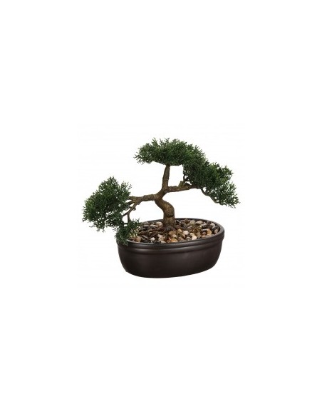 PIANTA 103379 BONSAI 23CM su TreG Ingrosso