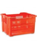 CASSETTA SERVICE 60X50 ARANCIO GIGANPLAST su TreG Ingrosso