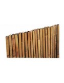 ARELLA RIVER 150 X 300 su TreG Ingrosso
