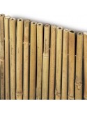 ARELLA RIVER 150 X 300 su TreG Ingrosso