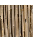 ARELLA RIVER 150 X 300 su TreG Ingrosso