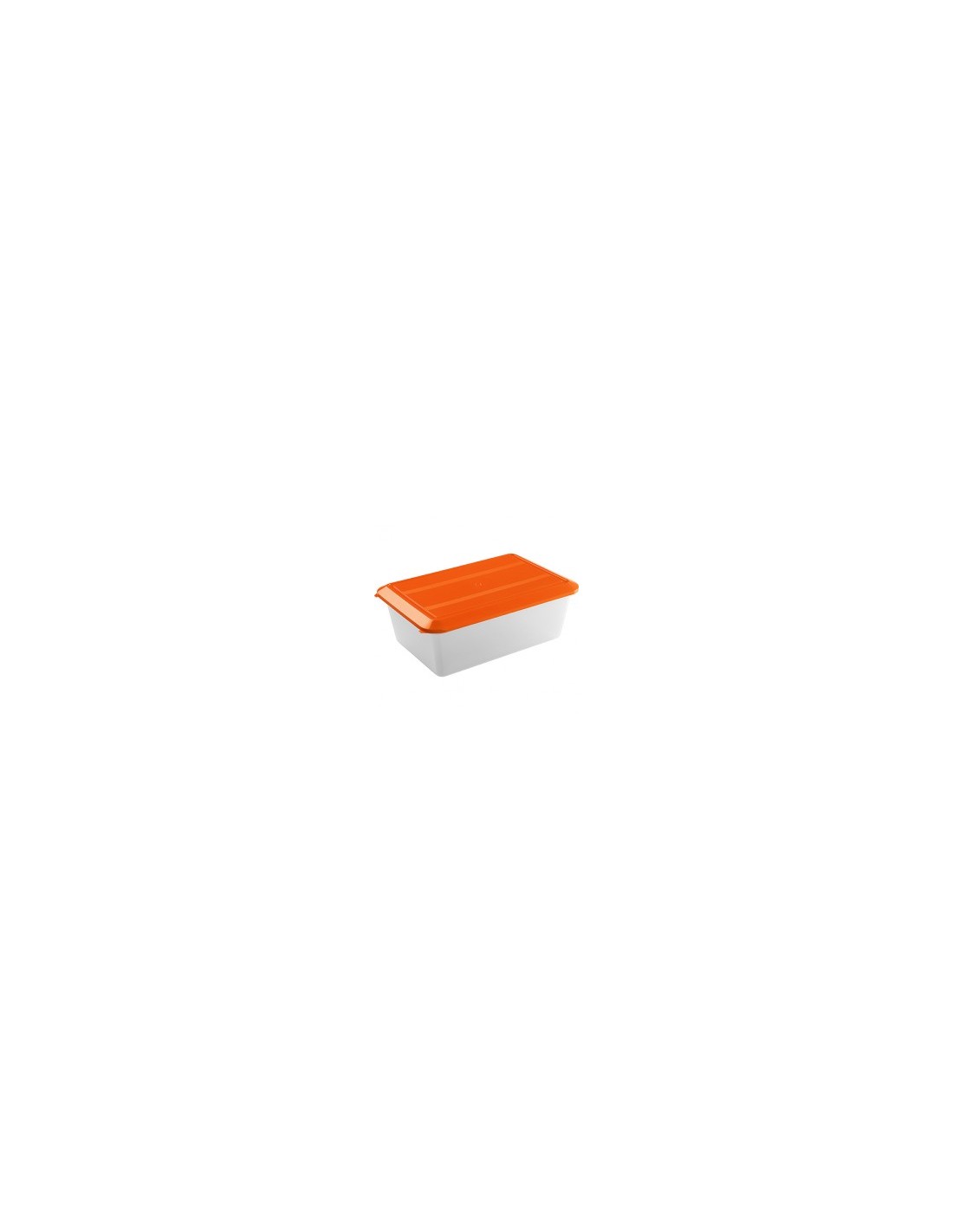 CONT FRIGO C/C 16050 6,5L 22X32 TORINO su TreG Ingrosso