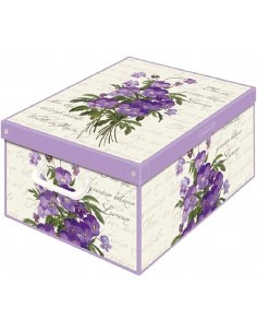 BAULOTTO 660 COLLEC 39X50X24 ASS su TreG Ingrosso