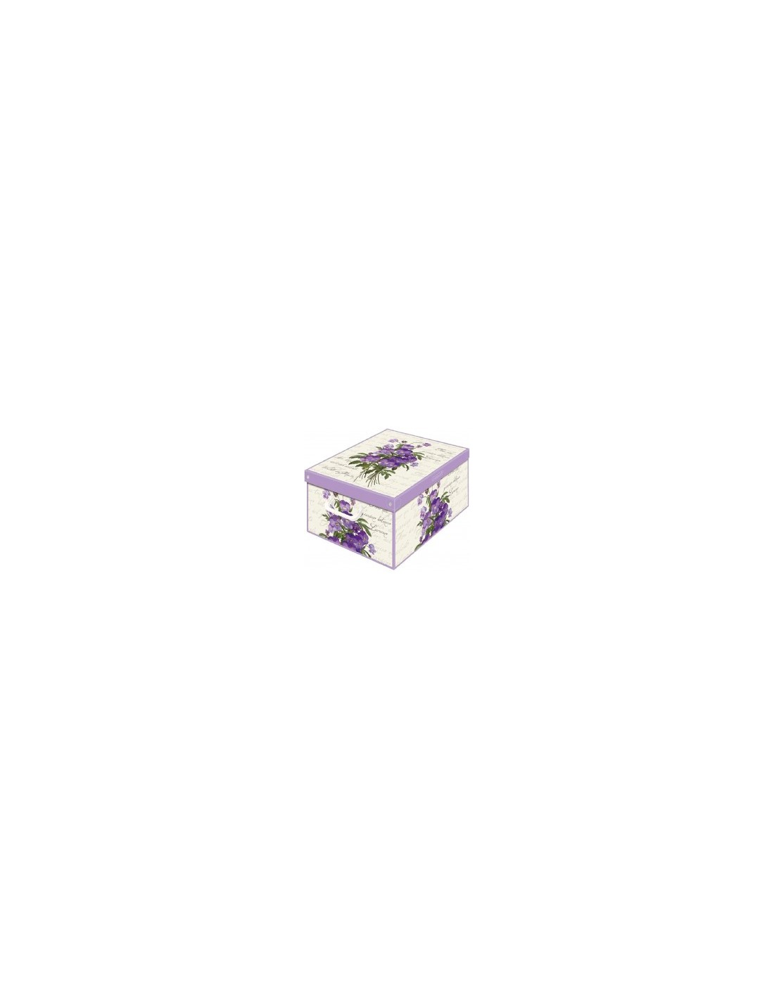 BAULOTTO 660 COLLEC 39X50X24 ASS su TreG Ingrosso