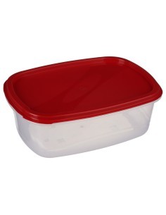 SET 6 CONTENITORI 120393 CON COPERHIO RETTANGOLARE su TreG Ingrosso
