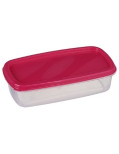 SET 6 CONTENITORI 120393 CON COPERHIO RETTANGOLARE su TreG Ingrosso