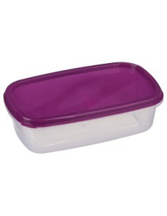 SET 6 CONTENITORI 120393 CON COPERHIO RETTANGOLARE su TreG Ingrosso