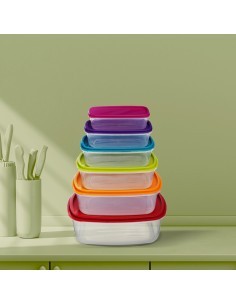 SET 6 CONTENITORI 120393 CON COPERHIO RETTANGOLARE su TreG Ingrosso