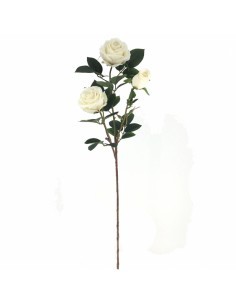 ROSA 4312 GLAMOUR su TreG Ingrosso