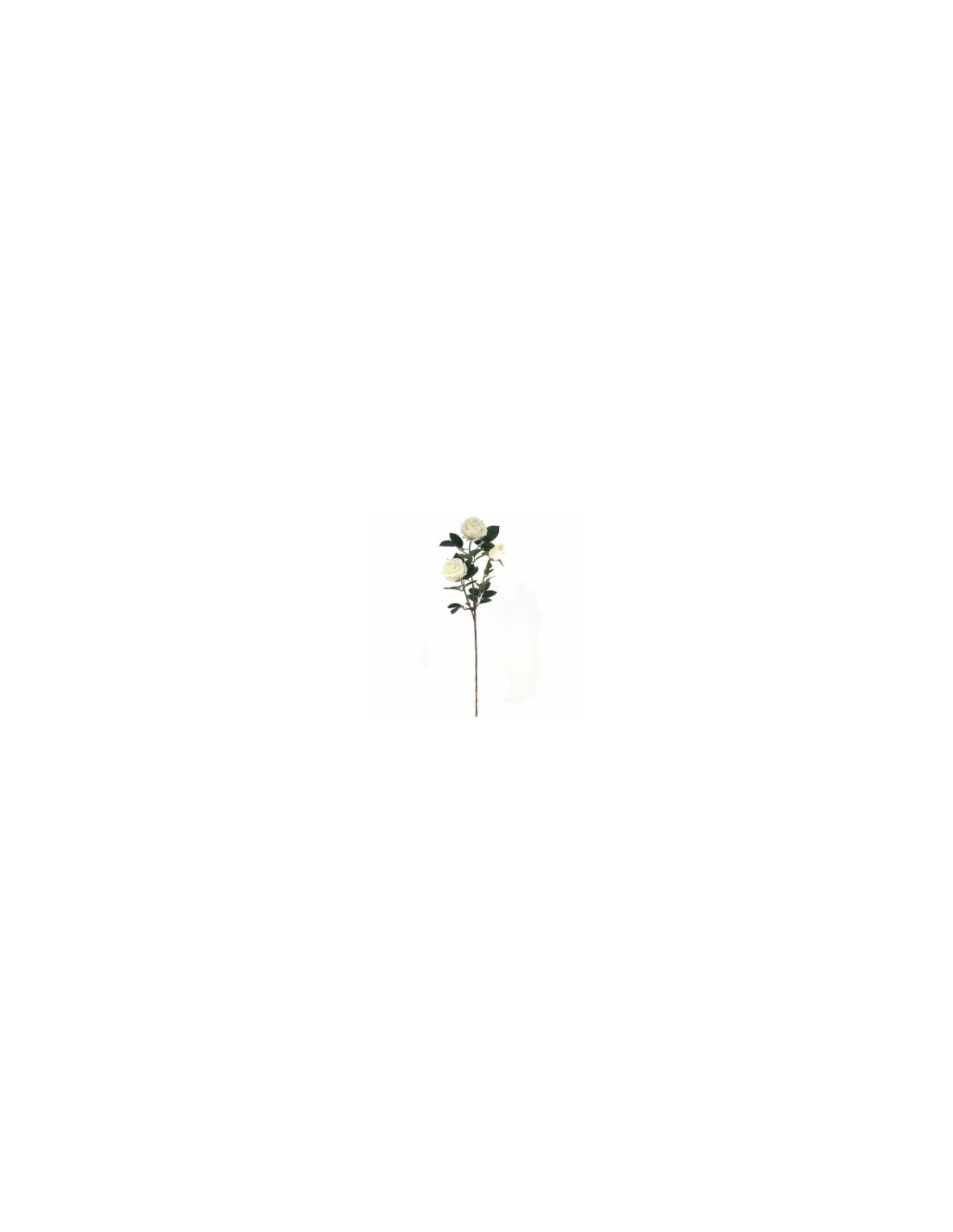 ROSA 4312 GLAMOUR su TreG Ingrosso