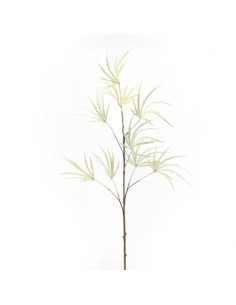HELLEBORUS 2067 ASSORT su TreG Ingrosso