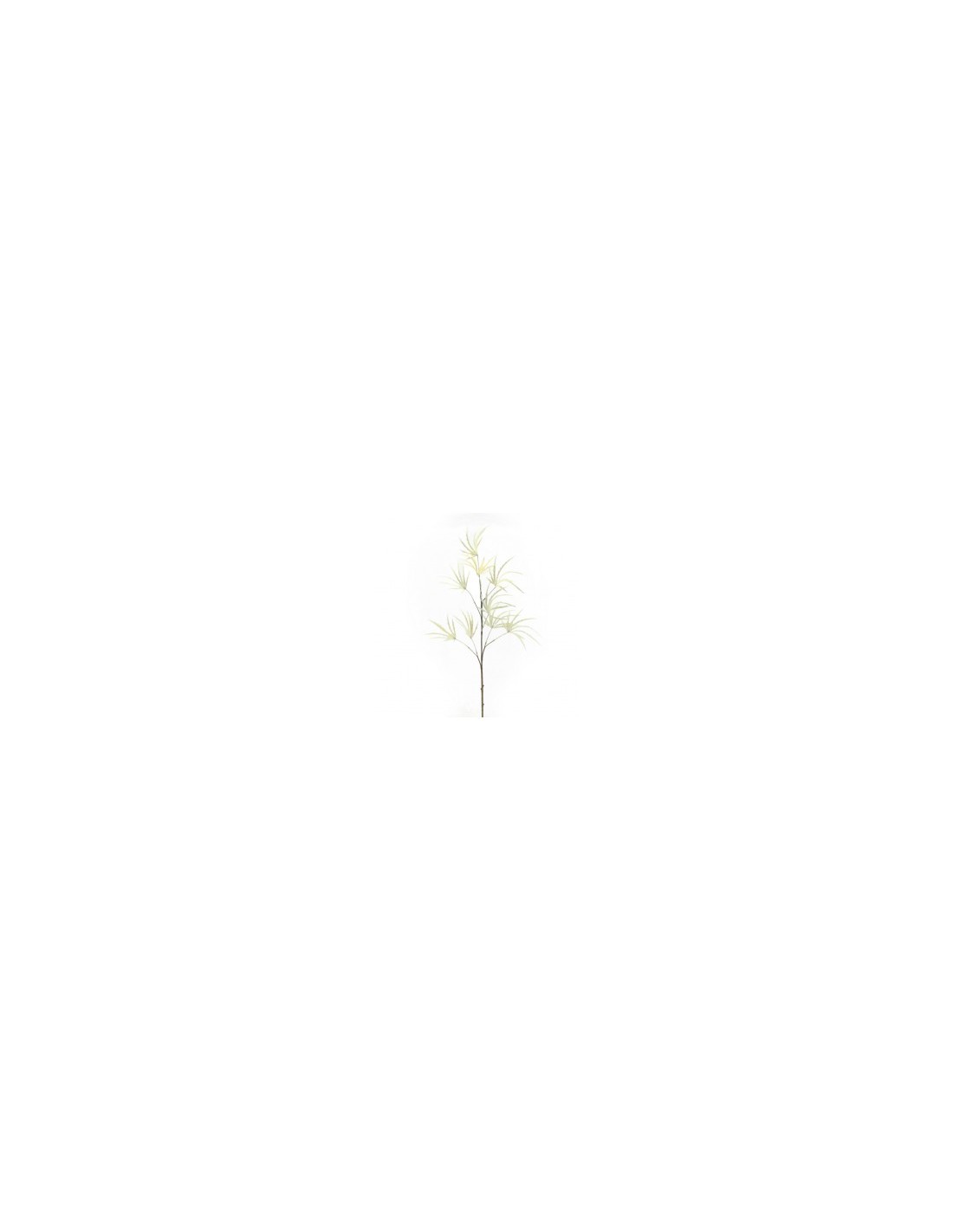 HELLEBORUS 2067 ASSORT su TreG Ingrosso