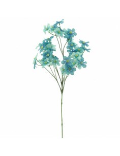 COSMOS 2432 MINIX5 70CM su TreG Ingrosso