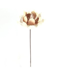 MAGNOLIA 7640 su TreG Ingrosso