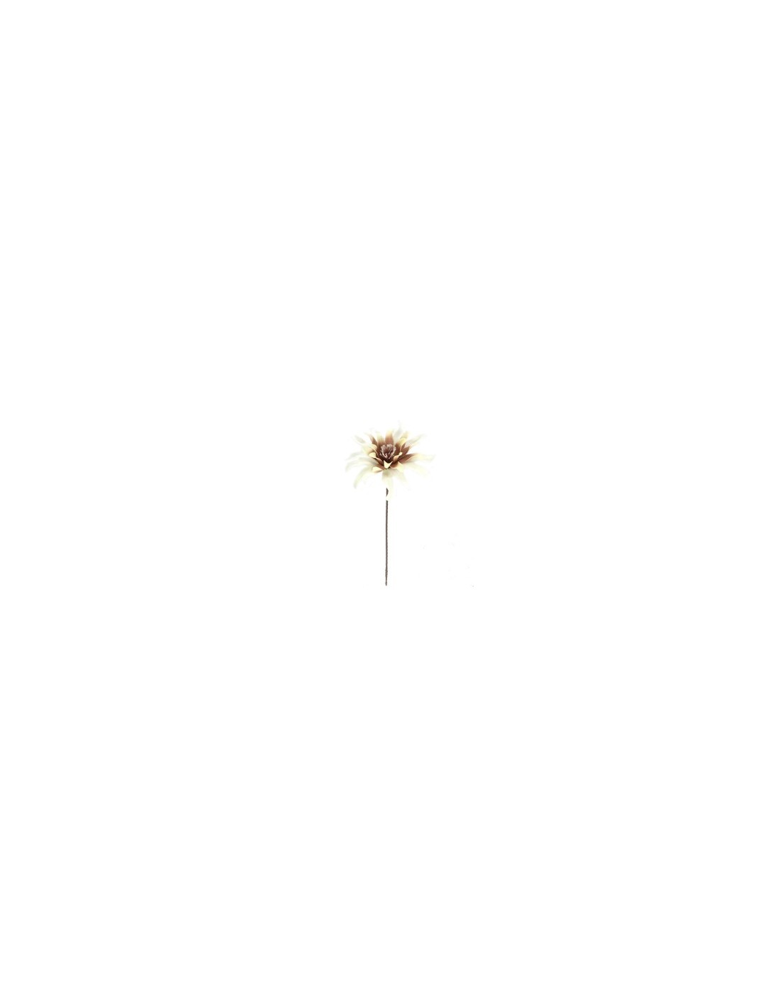 DALHIA 7641 ASSORT su TreG Ingrosso