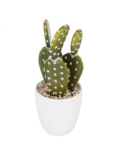 VASO 155600 CON CACTUS 18CM su TreG Ingrosso