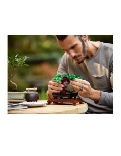 BOTANICAL 10281 ALBERO BONSAI su TreG Ingrosso