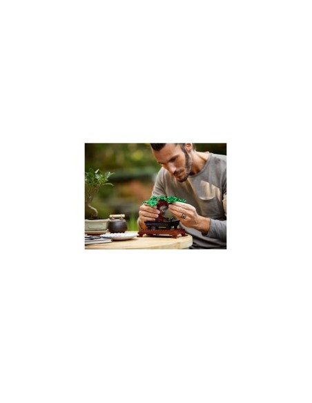 BOTANICAL 10281 ALBERO BONSAI su TreG Ingrosso