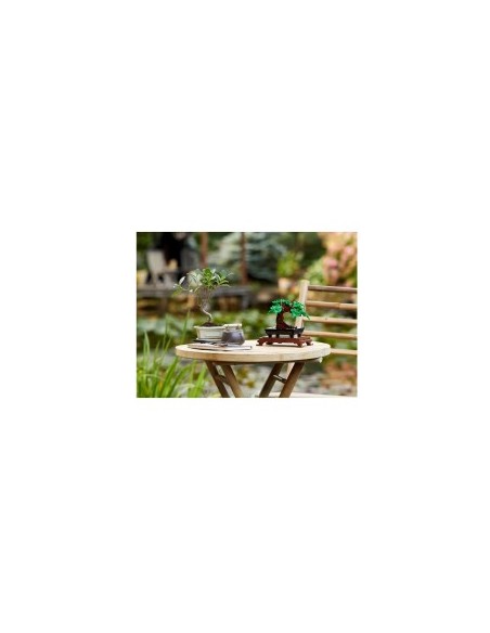 BOTANICAL 10281 ALBERO BONSAI su TreG Ingrosso