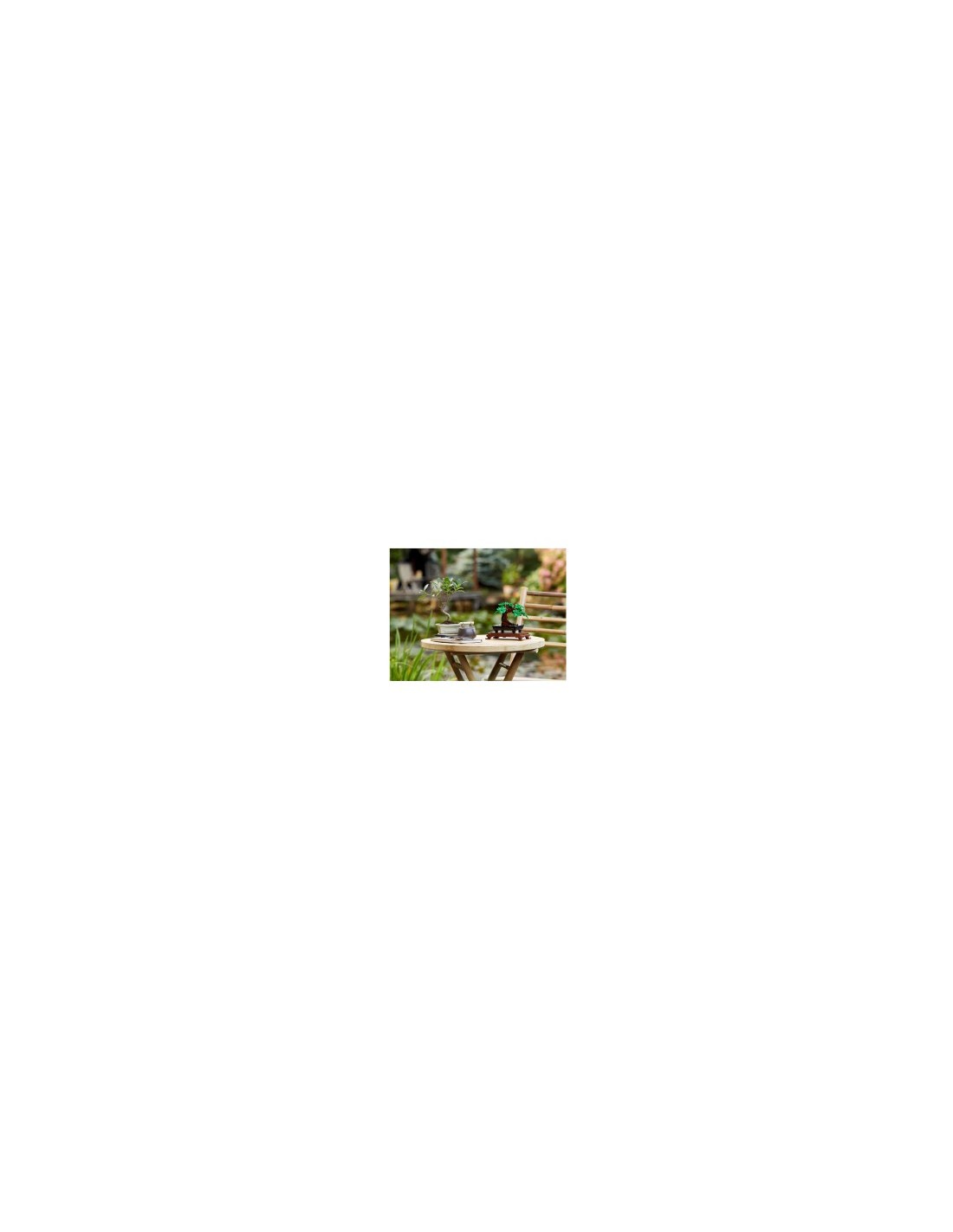 BOTANICAL 10281 ALBERO BONSAI su TreG Ingrosso