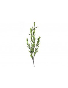 STELO 4 RAMI 107CM VERDE su TreG Ingrosso