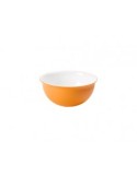 SANALIVING CIOTOLA 2005AR 20CM ARANCIO su TreG Ingrosso