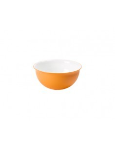 SANALIVING CIOTOLA 2005AR 20CM ARANCIO su TreG Ingrosso