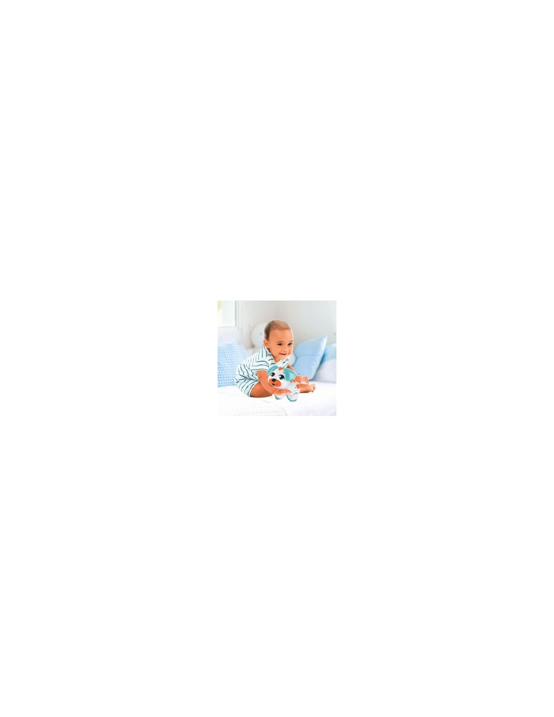 BABY 17450 CAGNOLINO CERCACOCCOLE su TreG Ingrosso
