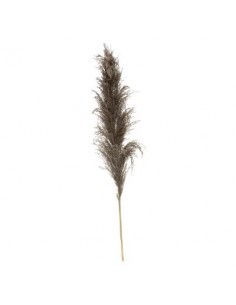 PIANTA 3 RAMI PAMPA ARTIFICIALE MARRONE 110CM su TreG Ingrosso