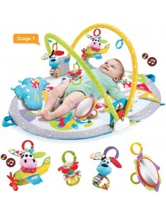 YOOKIDOO YKD40145 GYMOTION LAY TO SIT-UP PLAY su TreG Ingrosso