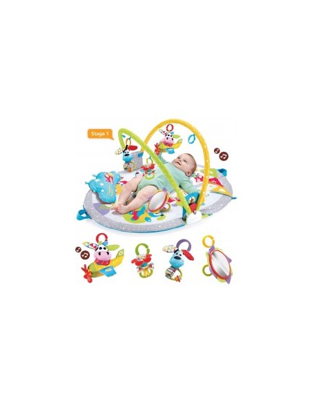 YOOKIDOO YKD40145 GYMOTION LAY TO SIT-UP PLAY su TreG Ingrosso