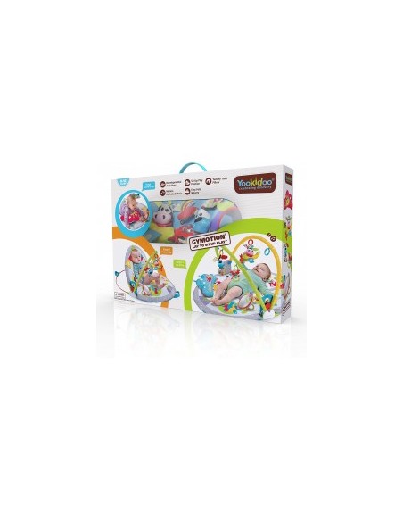 YOOKIDOO YKD40145 GYMOTION LAY TO SIT-UP PLAY su TreG Ingrosso