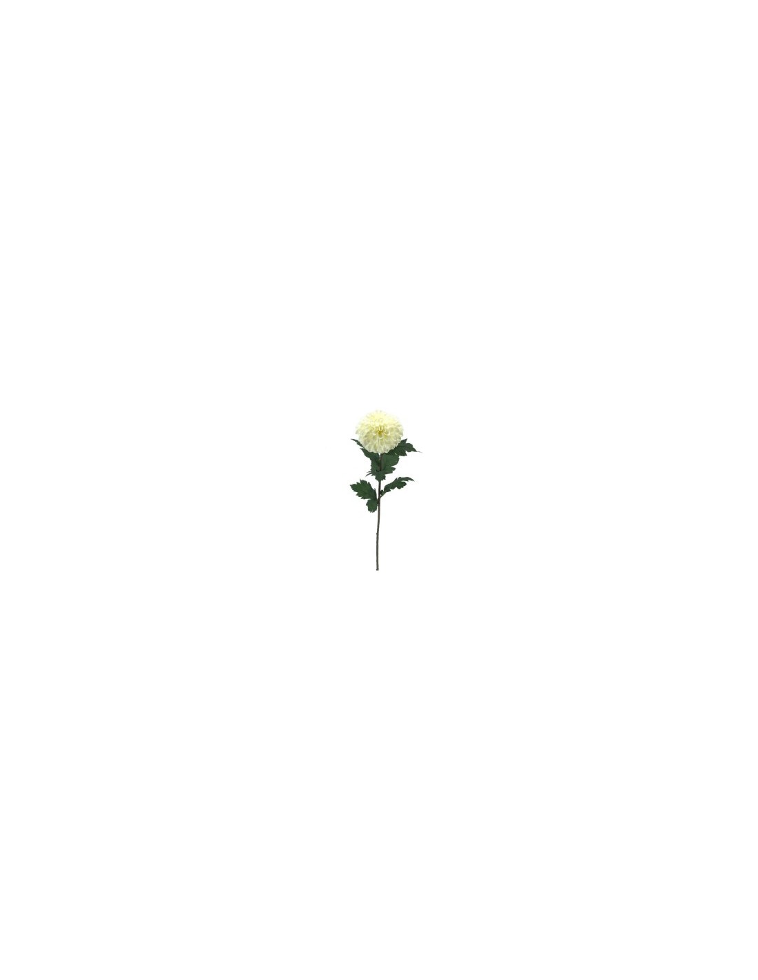 DAHLIA 2030 ASSORTITO su TreG Ingrosso