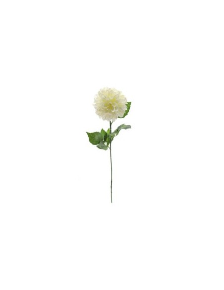 DAHLIA 2651 ROSA su TreG Ingrosso