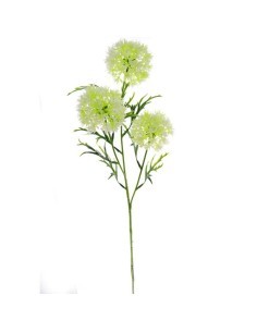 VIBURNUM 4308 X3 ASSORTITO su TreG Ingrosso