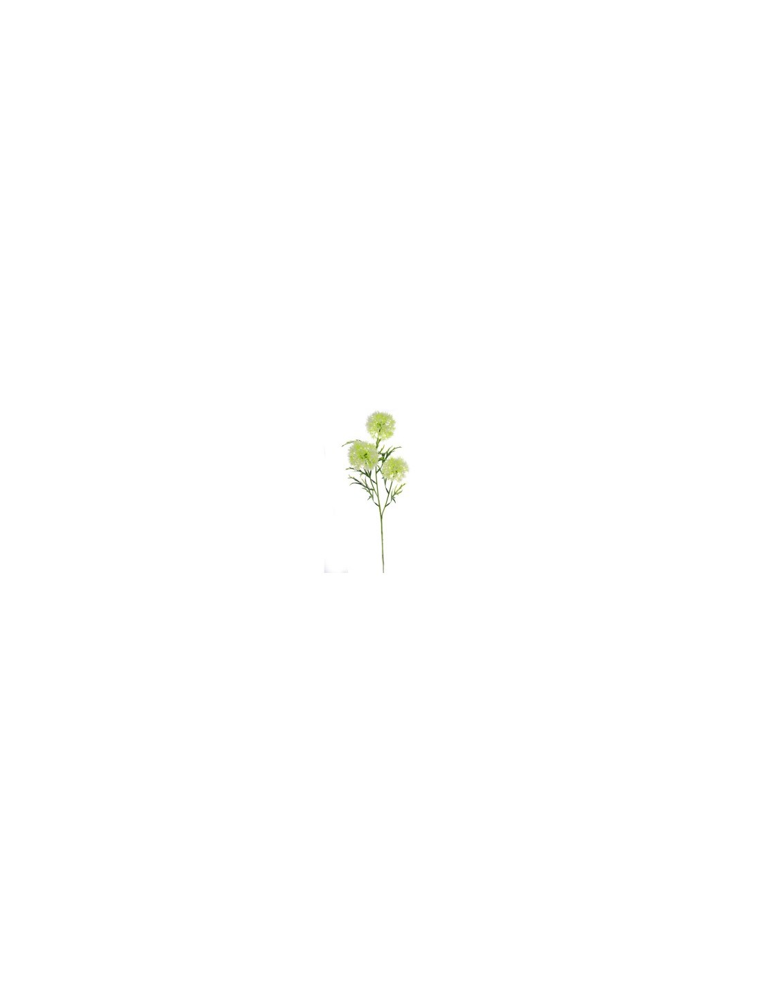 VIBURNUM 4308 X3 ASSORTITO su TreG Ingrosso