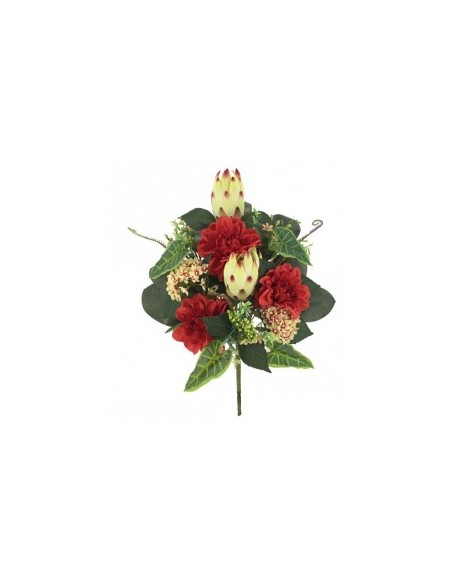 PALMA 5713 DAHLIA PROTEAS ASSORT su TreG Ingrosso