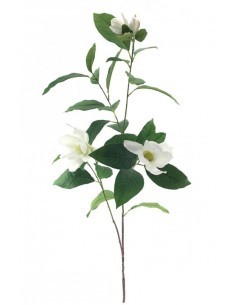 MAGNOLIE 6210 138CM su TreG Ingrosso