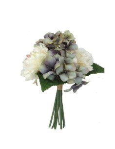 PITOSPORUM 6911 ASSORTITO su TreG Ingrosso