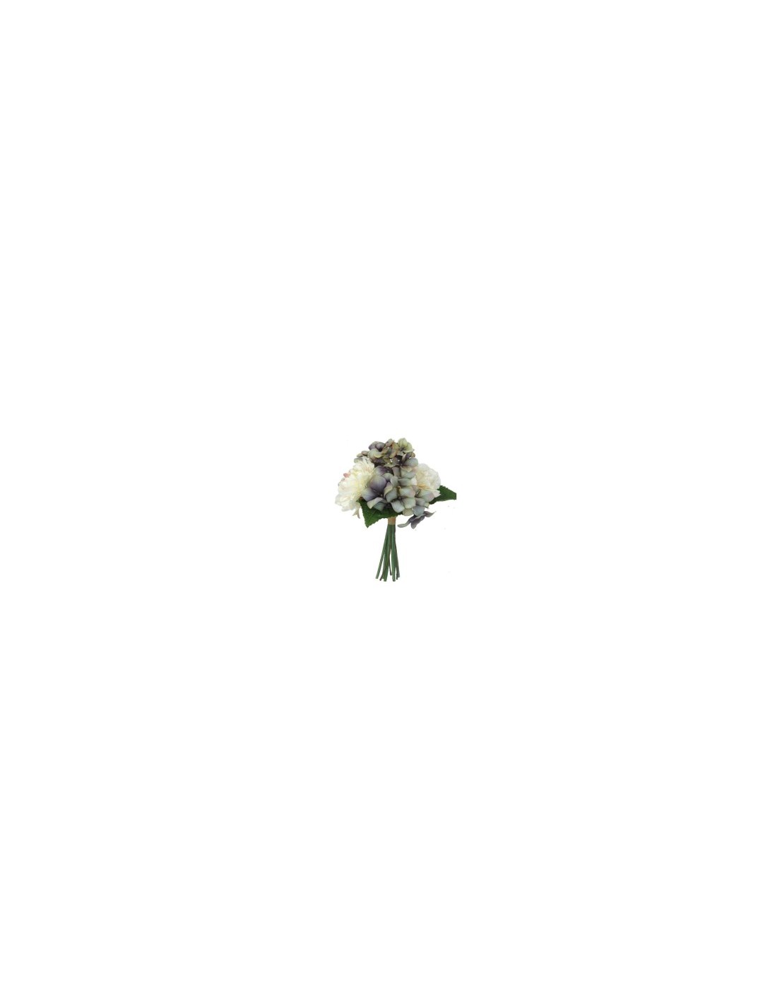 PITOSPORUM 6911 ASSORTITO su TreG Ingrosso
