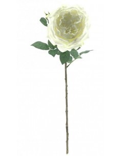 ROSA 6971 GARNETTE FUCSIA su TreG Ingrosso