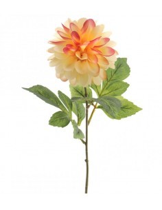 DAHLIA 9537 FALL EVER ASSORTITO su TreG Ingrosso