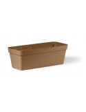 CLEO CASSETTA 50CM TERRA SALENTINA su TreG Ingrosso