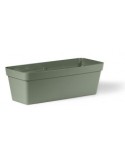 CLEO CASSETTA 60CM TERRA LAGUNA su TreG Ingrosso
