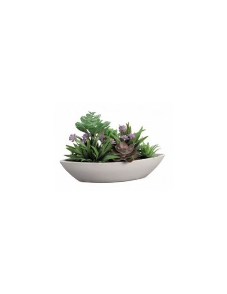 VASO 48720 PIANTINE GRASSE ASSORT su TreG Ingrosso