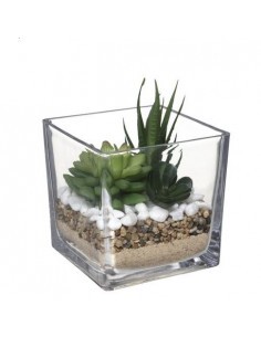 PIANTINA 181504 VASO VETRO 12X12CM su TreG Ingrosso