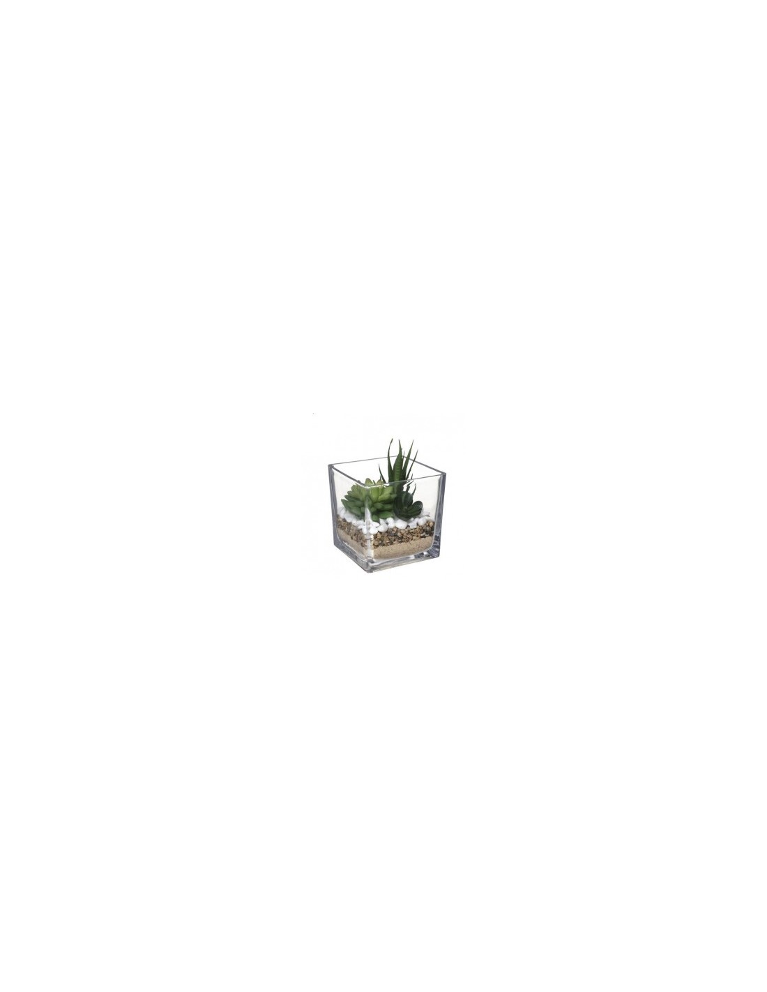 PIANTINA 181504 VASO VETRO 12X12CM su TreG Ingrosso
