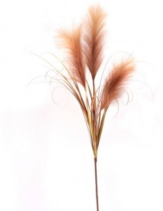 PIANTA 7623 ERBA DI PAMPAS GIALLO su TreG Ingrosso